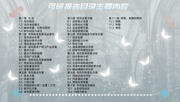 鄒城可研報(bào)告目錄
